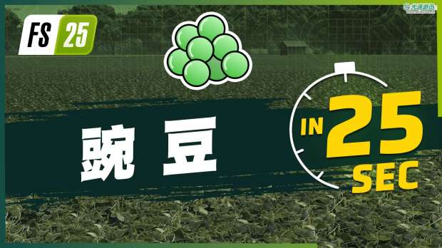 《Farming Simulator 25》最新资讯公开：现已发布新农作物大米和豌豆的宣传片！