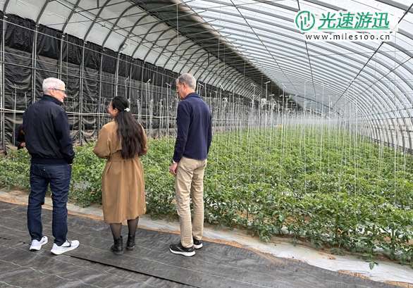 苹果CEO库克现身北京 兴致勃勃参观有机农场